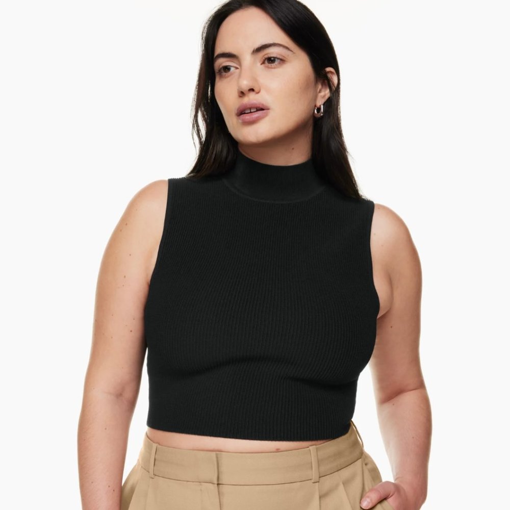 BABATON (Aritzia) Sculpt Knit Mockneck Tank
